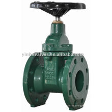 gate valve